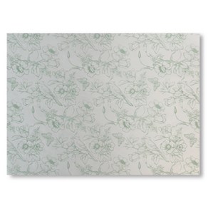 베스트팩 블루밍 무코팅 노루지 50 x 38 cm, 페일그린, 50개