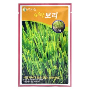 다농 새싹 보리 씨앗 30g, 1개