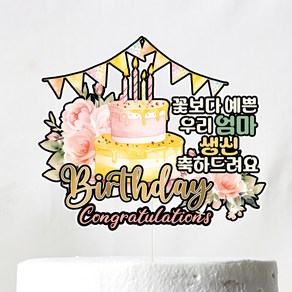 비비드레인 생신 케이크토퍼, C02 벌스데이(엄마-생신), 1개