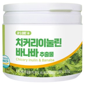 닥터스원 치커리 이눌린 바나바 추출분말, 300g, 1개