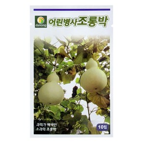 다농 어린병사조롱박 씨앗 10p, 1개