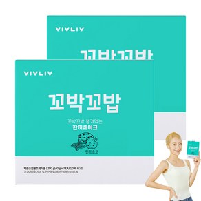 비브리브 꼬박꼬밥 챙겨먹는 한끼 쉐이크 민트초코, 40g, 14개