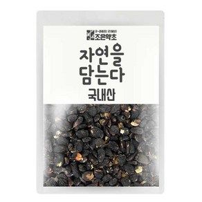 조은약초 오가피 열매, 300g, 1개