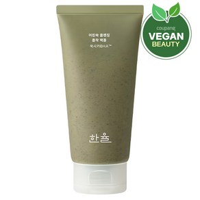 한율 어린쑥 클렌징 흡착 팩 폼, 120ml, 1개