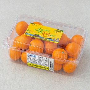 귤탐 당도선별 12bix 감귤, 1.2kg(꼬마과), 1팩