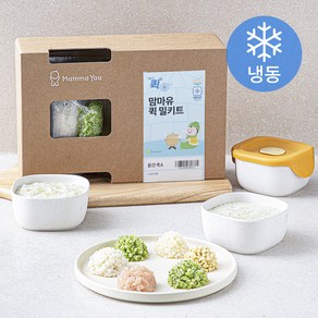 맘마유 퀵 밀키트 묽은죽 A플랜 480g (냉동)