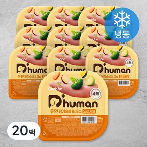 듀먼 전연령용 닭가슴살 & 채소 오리지널 강아지 화식사료 (냉동), 닭+채소, 50g, 20개