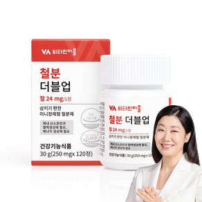 비타민마을 철분 더블업 미니 정제형 철분제, 120정, 30g, 1개