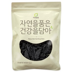 자연닮음 숙지황 한약재, 1개, 300g