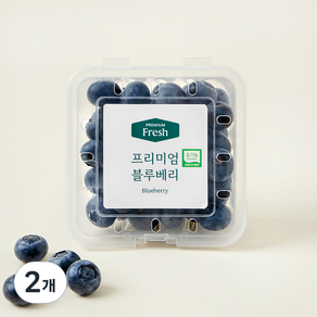 프리미엄 유기농 블루베리 대과, 100g, 2개