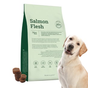 본아페티 전연령 플러스 강아지 눈건강 눈물 수제사료, 연어, 1kg, 1개