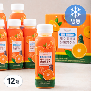 탐사 꽁꽁얼린 제주 감귤 & 천혜향 주스 (냉동), 250ml, 12개