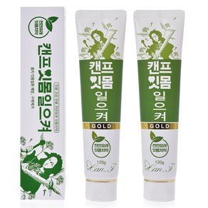 잇몸일으키기 치약, 120g, 2개