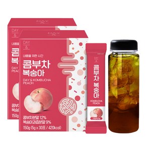 참앤들황토농원 데이앤 콤부차 복숭아 5g 30개입 x 2p + 전용보틀, 150g, 1세트