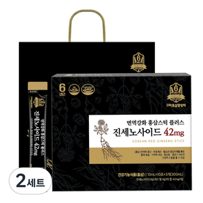 고려홍삼중앙회 면역강화 홍삼스틱 플러스 진세노사이드 42mg + 쇼핑백, 300ml, 2세트