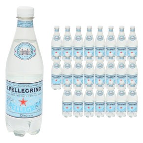 산펠레그리노 탄산수 페트병, 500ml, 24개