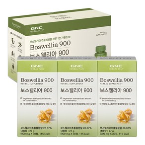 GNC 보스웰리아 900mg