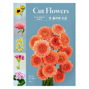 컷 플라워(Cut Flowers) 도감:잘 고르고 예쁘게 꽂아 오래 즐기기