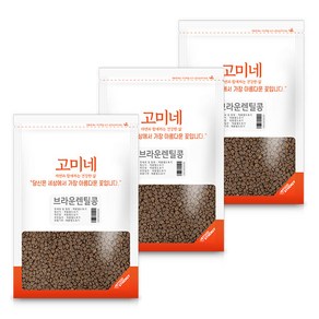 고미네 브라운 렌틸콩, 1kg, 3개