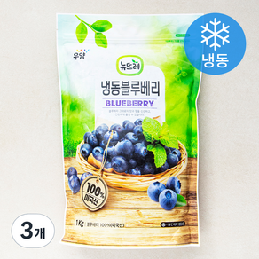 뉴뜨레 냉동 블루베리 (냉동), 1kg, 3개