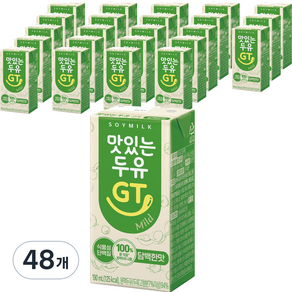 맛있는두유GT 담백한맛, 190ml, 48개