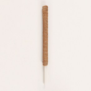 플레노 코코봉 식물지지대 플라스틱/슬림/60cm, 1개