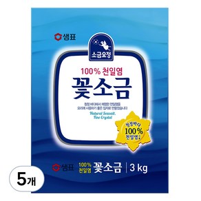 샘표 소금요정 천일염 꽃소금, 3kg, 5개