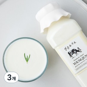 영준목장 수제 요거트 플레인, 500ml, 3개