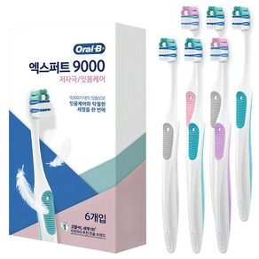 오랄비 엑스퍼트 9000 칫솔, 6개입, 1개