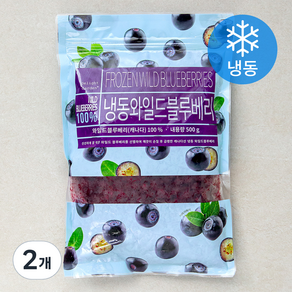 캐나다산 와일드블루베리 (냉동), 500g, 2개