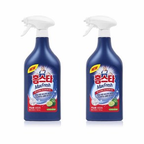 홈스타 맥스프레쉬 욕실청소용 세정제, 750ml, 2개