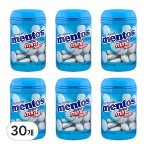 멘토스 민트맛 바틀, 120g, 30개