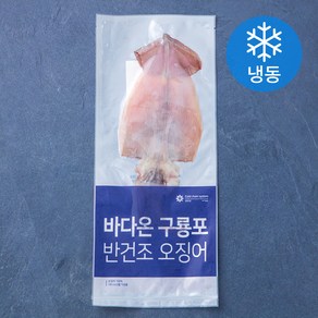 바다온 포항시 인증 한마리 구룡포 반건조 오징어 (냉동)