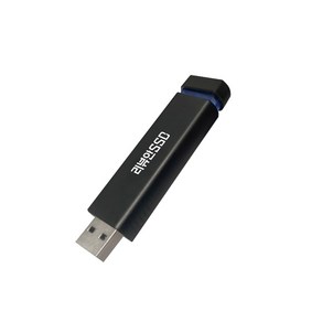 리뷰안 UX300 MLC USB SSD 고성능 3 메모리 USB, 512GB