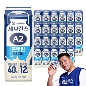 세브란스에이투 프로틴 오리지널, 190ml, 24개