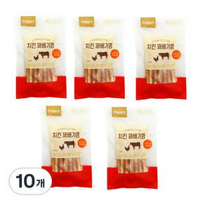 퍼피아이 강아지 간식 100g, 치킨꽈배기껌, 10개