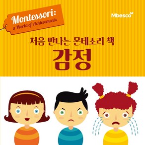 처음 만나는 몬테소리 책 감정