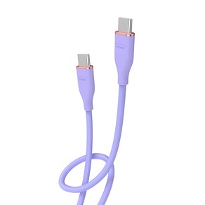 모락 츄잉 60W USB C to C 타입 초고속 충전 케이블