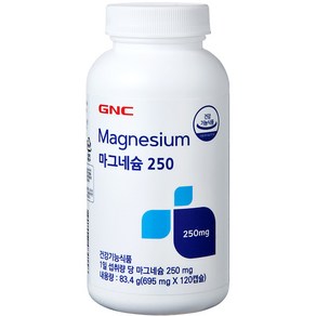 GNC 마그네슘 250