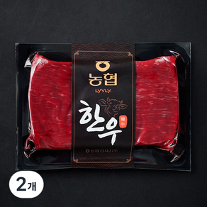 농협 한우 1등급 장조림용 (냉장), 2개, 300g