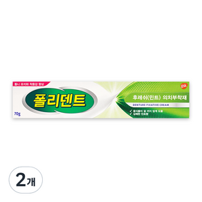 폴리덴트 후레쉬 민트 의치 부착재 70g