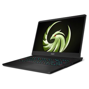 MSI 2023 Alpha17 라이젠9 7945HX 지포스 RTX 4070, 블랙, 1TB, 16GB, Fee DOS, 알파 17 C7VG-R9 QHD