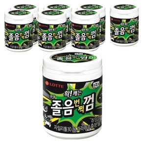 롯데 확 깨는 졸음 번쩍 껌, 87g, 8개