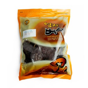 동광 찐 영지버섯차, 500g, 1개, 1개입