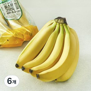 팜앤푸드 에콰도르산 고당도 바나나, 6개, 1.2kg
