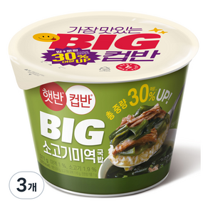 햇반 컵반 BIG 소고기 미역 국밥, 311g, 3개