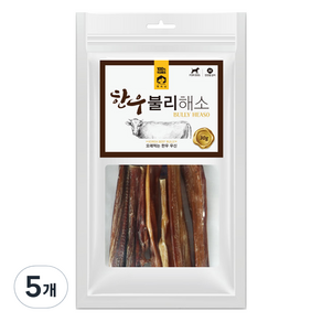 펫러닝 강아지 한우 불리해소 간식, 소고기, 30g, 5개