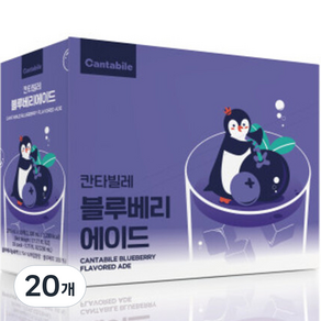 동서웰빙 칸타빌레 블루베리 에이드, 230ml, 20개