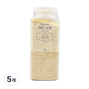 푸른들판 자연아래 찰보리 PET, 2kg, 5개