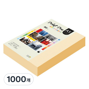 종이문화 프린트 프로 칼라 복사용지 No 02 아이보리 80g, A5, 1000개